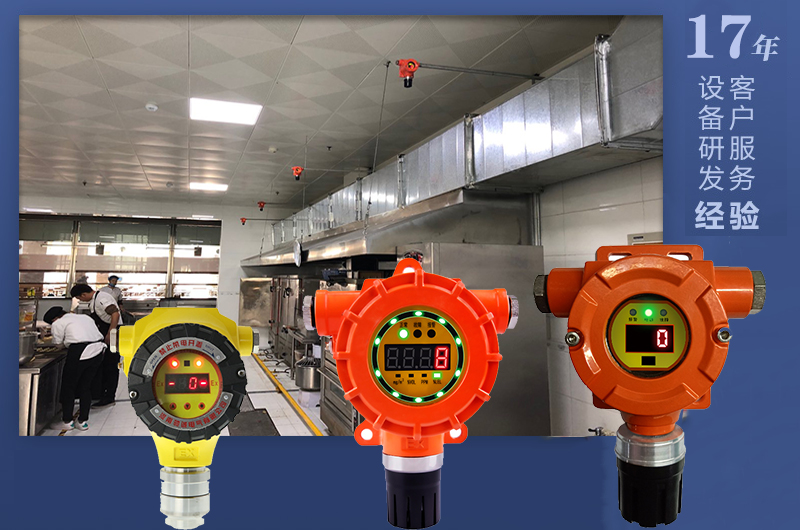 沼氣檢測(cè)儀 檢測(cè)氣體效率高 廠家直銷(xiāo)